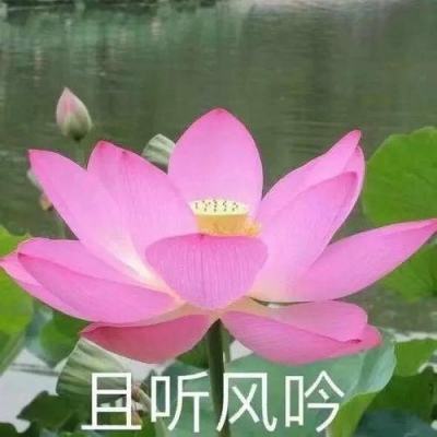 华润集团开启十四五奋斗新征程